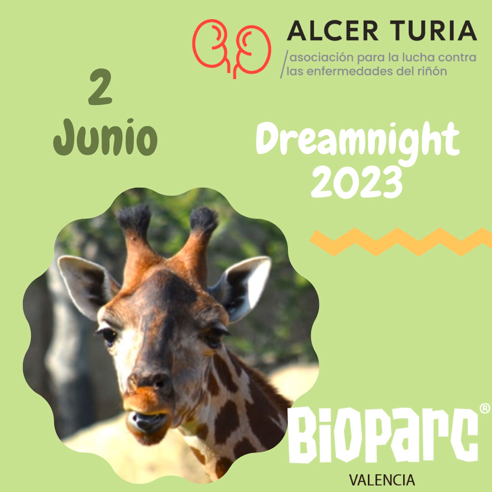 dreamnight bioparc 2023 Asociacion Alcer turia